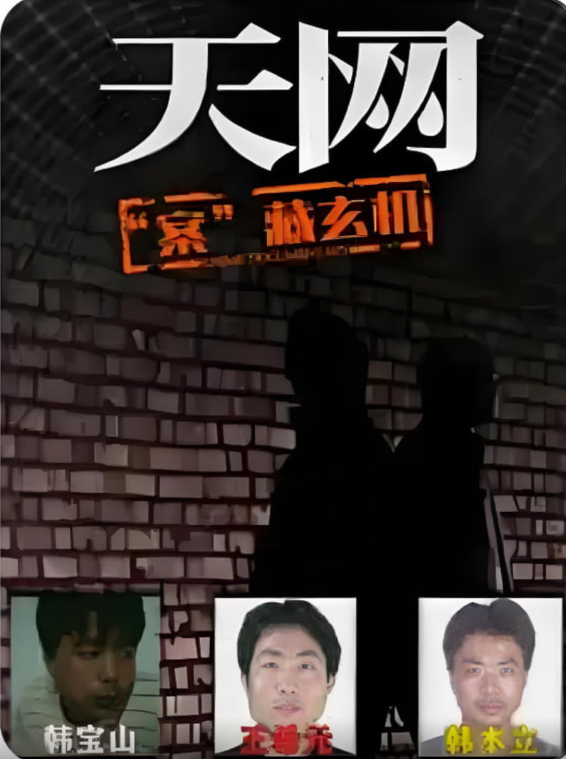 天网:“案”藏玄机